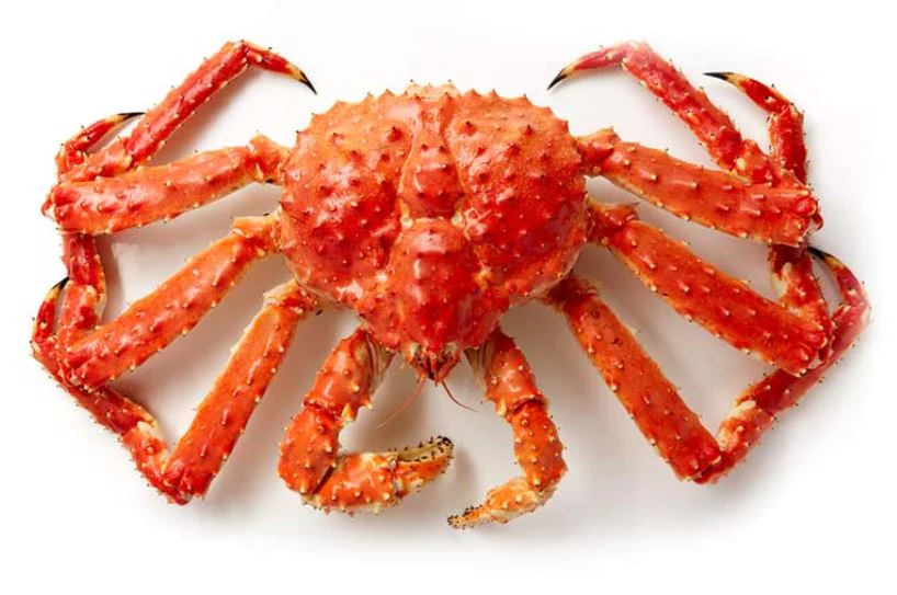 KingCrab