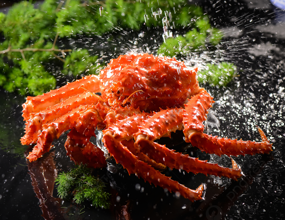 pngtree-fresh-king-crab-picture-image_1713275