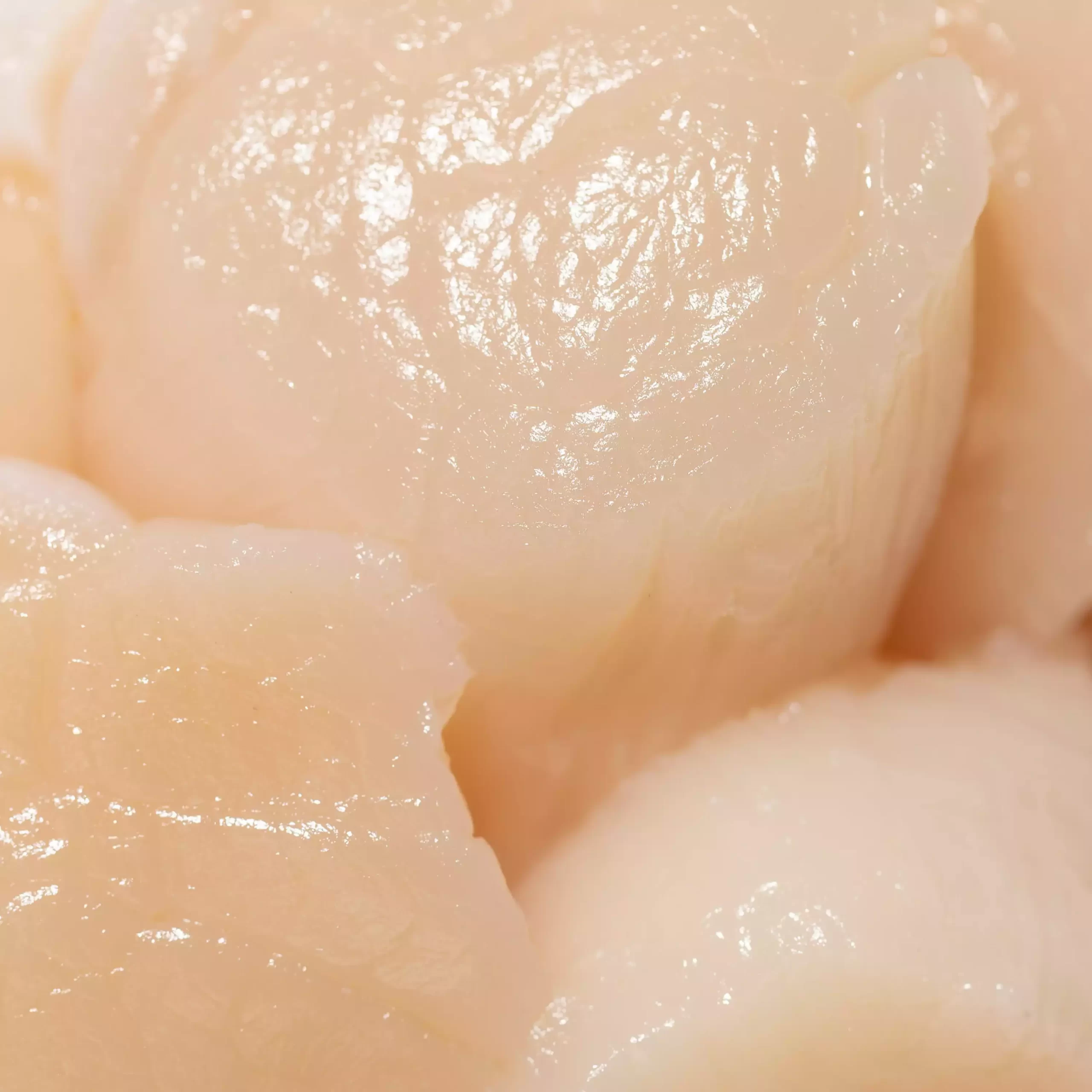 Scallops_Thawed_Macro_03_5000x